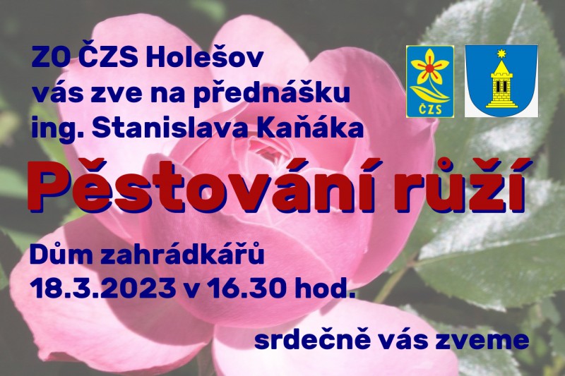 prednaska-ruze.jpg