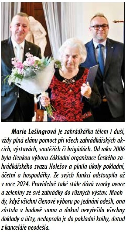 lesingrova.jpg