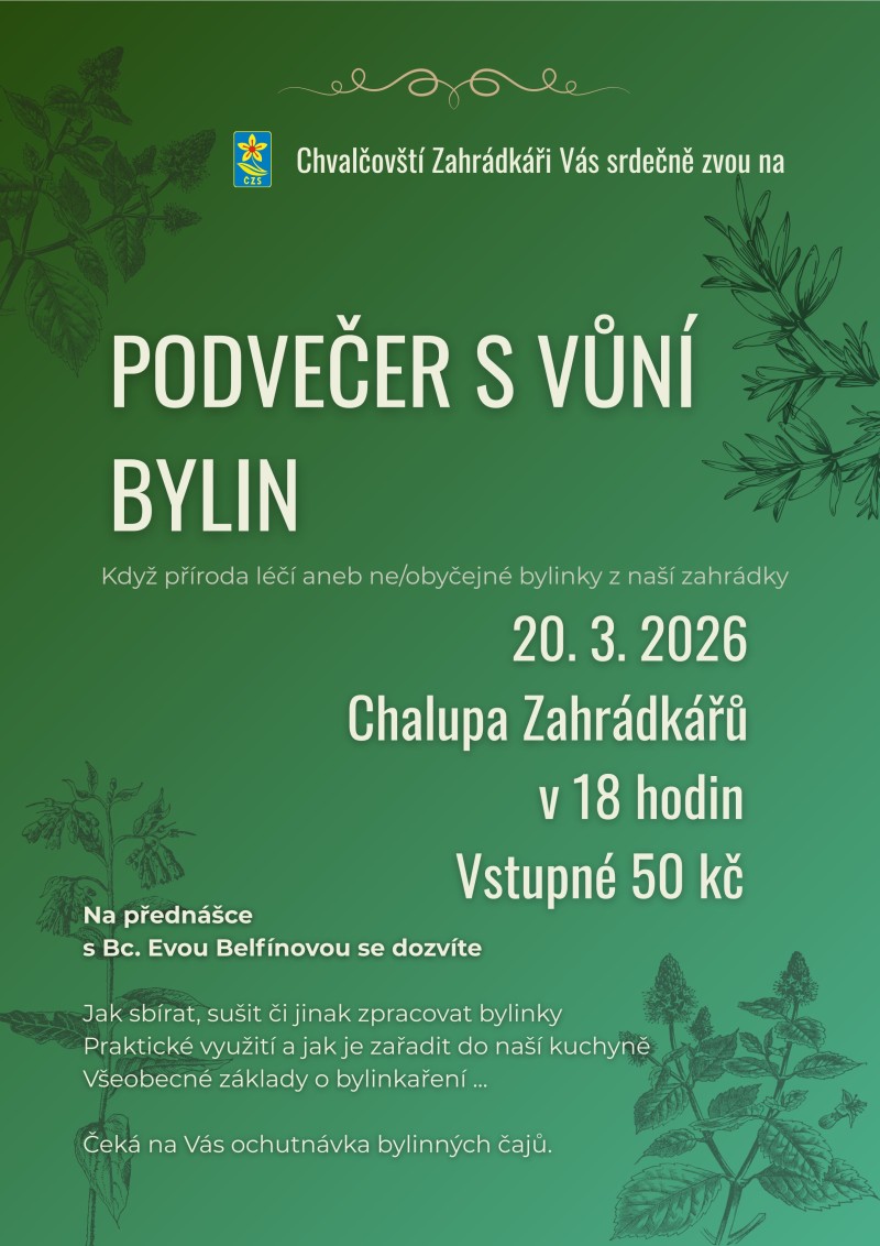 podvecer-s-vuni-bylin--1--1.jpg